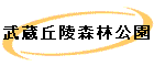 ¢ͿӸ