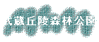 ¢ͿӸ