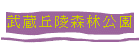 ¢ͿӸ