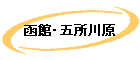 ȡۡ޽