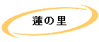 ϡΤ