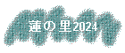 ϡΤ2024