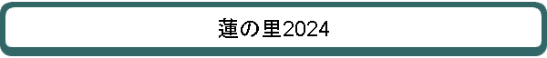 ϡΤ2024