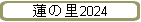ϡΤ2024