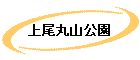 ݻ