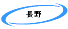 Ĺ