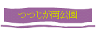 ĤĤ